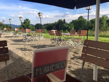 照片: Flamenco